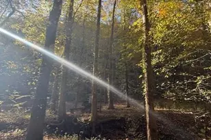 650 Mulberry Trail, Ellijay, GA 30540 - Photo 9