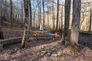 650 Mulberry Trail, Ellijay, GA 30540 - Photo 23