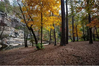 803 Greenwood Circle, Ranger, GA 30734 - Photo 13