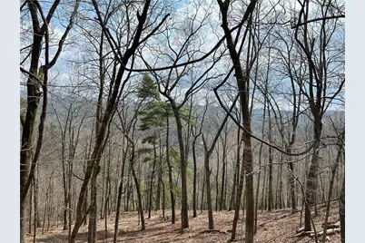 803 Greenwood Circle, Ranger, GA 30734 - Photo 7