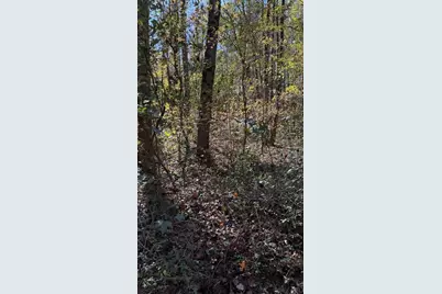 Lot 15 Fairview Springs Drive, Ellenwood, GA 30284 - Photo 3