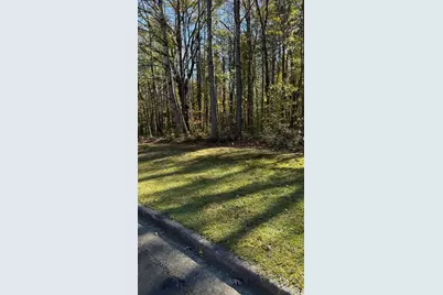 Lot 15 Fairview Springs Drive, Ellenwood, GA 30284 - Photo 5