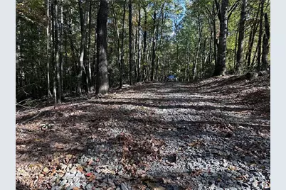 Tract3 Turniptown Road, Ellijay, GA 30536 - Photo 19