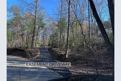 Tract3 Turniptown Road, Ellijay, GA 30536 - Photo 39