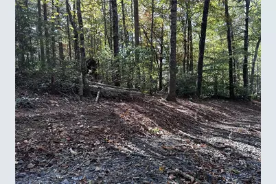 Tract3 Turniptown Road, Ellijay, GA 30536 - Photo 23