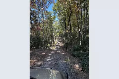 Tract3 Turniptown Road, Ellijay, GA 30536 - Photo 29