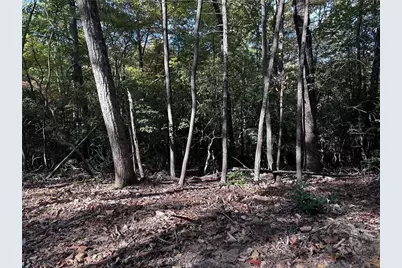 Tract3 Turniptown Road, Ellijay, GA 30536 - Photo 15