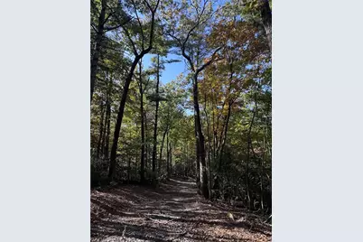 Tract3 Turniptown Road, Ellijay, GA 30536 - Photo 27