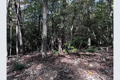 Tract3 Turniptown Road, Ellijay, GA 30536 - Photo 17