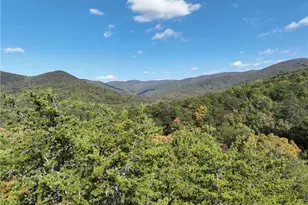 Tract3 Turniptown Rd, Ellijay, GA 30536 - Photo 1