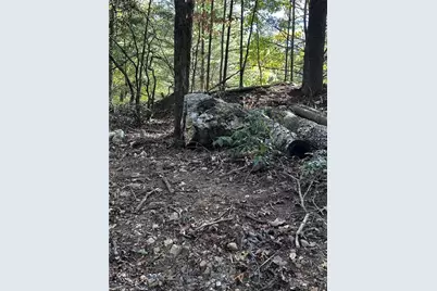 Tract3 Turniptown Road, Ellijay, GA 30536 - Photo 43