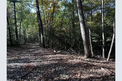 Tract3 Turniptown Road, Ellijay, GA 30536 - Photo 13