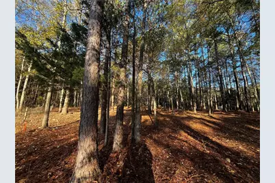 121 Sheldon Point, Griffin, GA 30224 - Photo 9