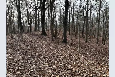 0 Ga-105, Baldwin, GA 30511 - Photo 5