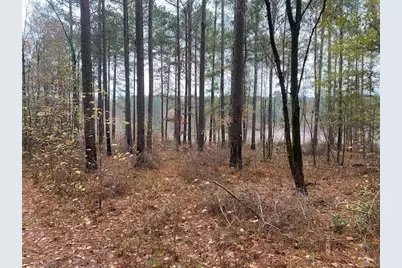 4318 Hester Town Road, Madison, GA 30650 - Photo 19