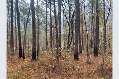 4318 Hester Town Road, Madison, GA 30650 - Photo 15