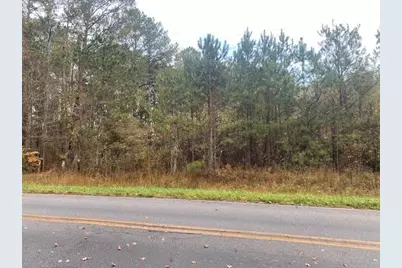 4318 Hester Town Road, Madison, GA 30650 - Photo 11