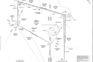 4318 Hester Town Rd, Madison, GA 30650 - Photo 1