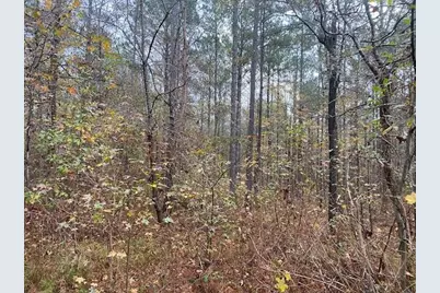 4318 Hester Town Road, Madison, GA 30650 - Photo 17