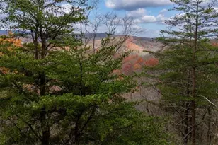 198 Hollow Log Trail, Ellijay, GA 30536 - Photo 25