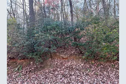 4412 Bee Tree Ridge Drive, Jasper, GA 30143 - Photo 7