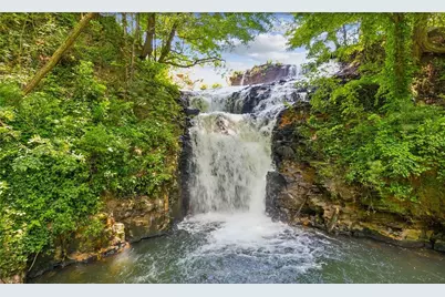 4412 Bee Tree Ridge Drive, Jasper, GA 30143 - Photo 21