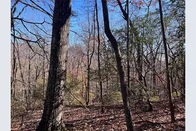 4412 Bee Tree Ridge Drive, Jasper, GA 30143 - Photo 3