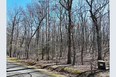 184 St Andrews Way, Ellijay, GA 30536 - Photo 11