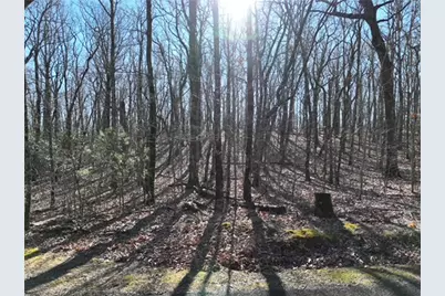 184 St Andrews Way, Ellijay, GA 30536 - Photo 7