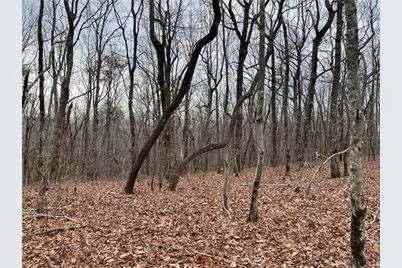 184 St Andrews Way, Ellijay, GA 30536 - Photo 17