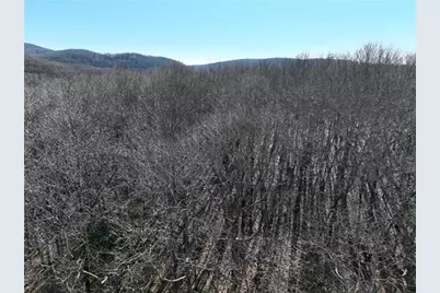 184 St Andrews Way, Ellijay, GA 30536 - Photo 37