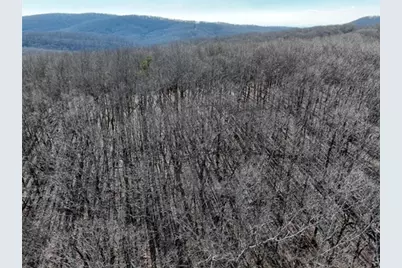 184 St Andrews Way, Ellijay, GA 30536 - Photo 35