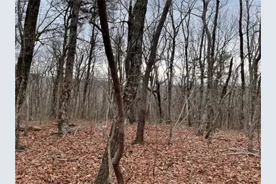 184 St Andrews Way, Ellijay, GA 30536 - Photo 19