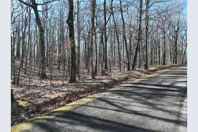 184 St Andrews Way, Ellijay, GA 30536 - Photo 3