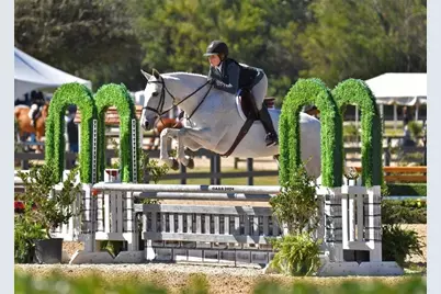 531 S Main Street #330, Alpharetta, GA 30009 - Photo 11