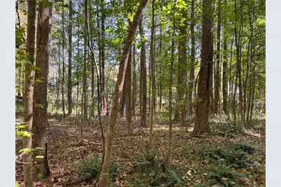 5334 Pounds Drive N, Stone Mountain, GA 30087 - Photo 5