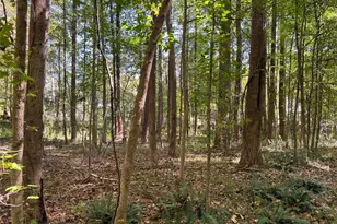 5334 Pounds Dr N, Stone Mountain, GA 30087 - Photo 5