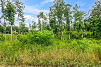 Lt 207 Oak Park Drive, Talking Rock, GA 30175 - Photo 21