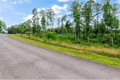 Lt 207 Oak Park Drive, Talking Rock, GA 30175 - Photo 23