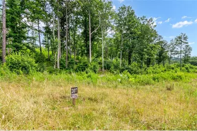 Lt 207 Oak Park Drive, Talking Rock, GA 30175 - Photo 25