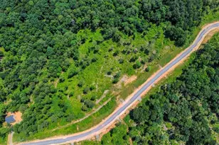 Lt 196 Oak Park Dr, Talking Rock, GA 30175 - Photo 1