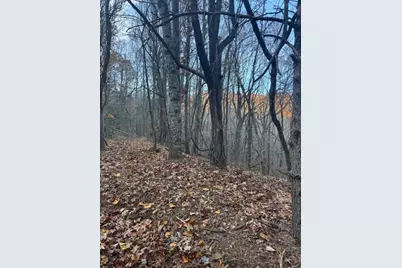 19N Fox Run Lane, Jasper, GA 30143 - Photo 3