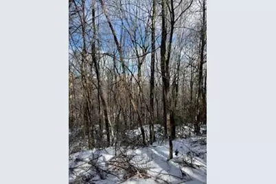 19N Fox Run Lane, Jasper, GA 30143 - Photo 7