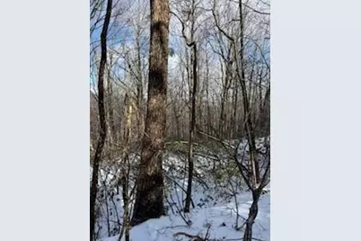 18N Bear Paw Road, Jasper, GA 30143 - Photo 5