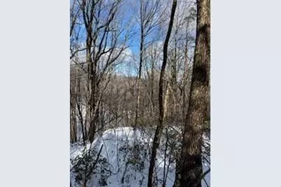 18N Bear Paw Road, Jasper, GA 30143 - Photo 11