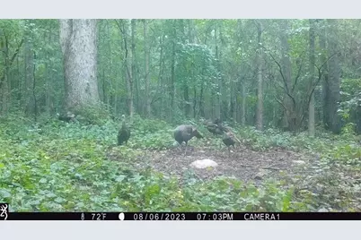 0 Harmony Gates Drive, Commerce, GA 30530 - Photo 29