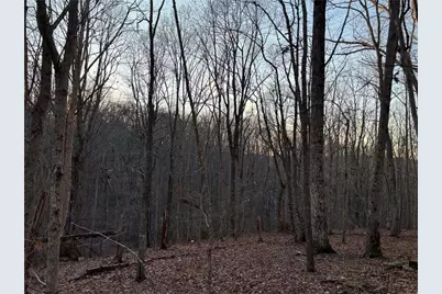 7175 Anderson Lake Road, Dawsonville, GA 30534 - Photo 13