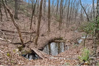 0 Big Oak Drive, Jasper, GA 30143 - Photo 5