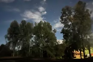 905 Hancock Mountain Trail, Waleska, GA 30183 - Photo 33