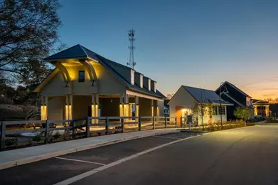 29 Hydrangea Unit 72 Way, Auburn, GA 30011 - Photo 23